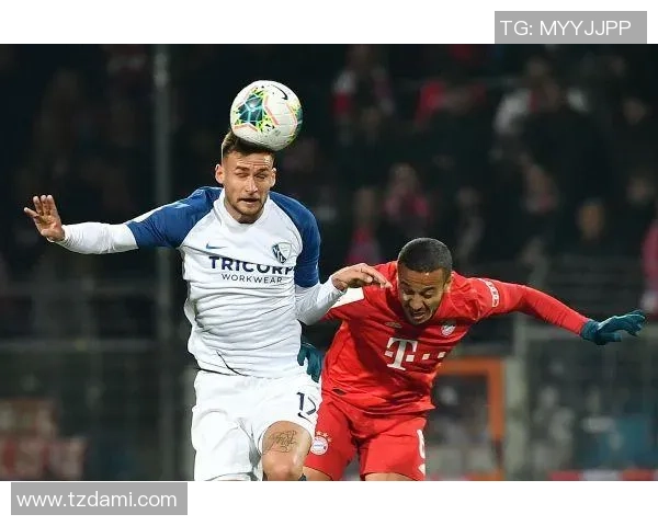 企鹅顶足球的奇妙冒险：探索冰雪世界中的足球乐趣与友谊