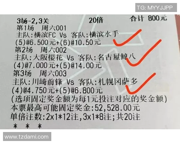 小学生足球科普知识大全助你轻松掌握足球技巧与规则