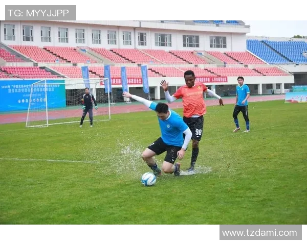 推动足球产业发展助力经济增长与全民健身新模式探索