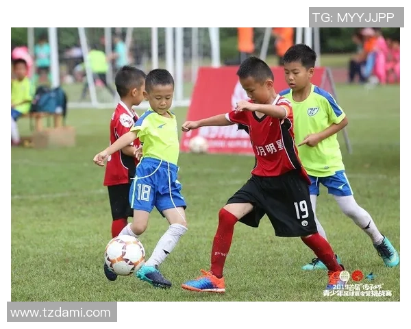 泛足球刘勇:探索足球文化的传承与创新之路 泛足球刘勇:探索足球文化的传承与创新之路