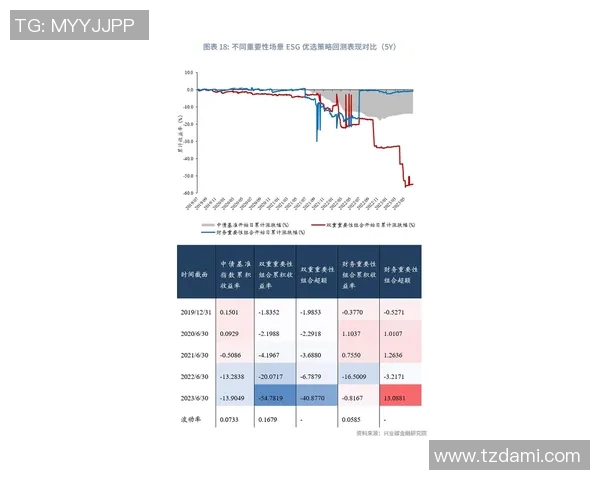 橄榄球与足球单价对比分析及其影响因素探讨