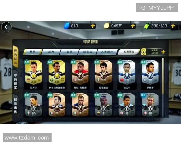 豪门足球风云游客登陆揭秘足球世界的魅力与挑战