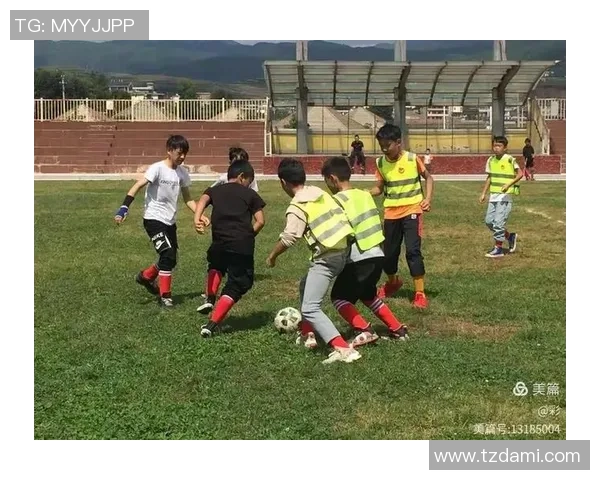 猫咪追逐足球的奇妙冒险与欢乐瞬间分享