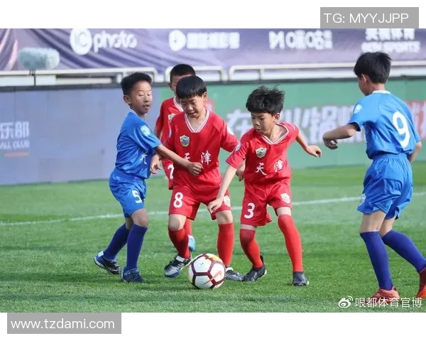 足球南部之星闪耀赛场展现激情与梦想的完美结合