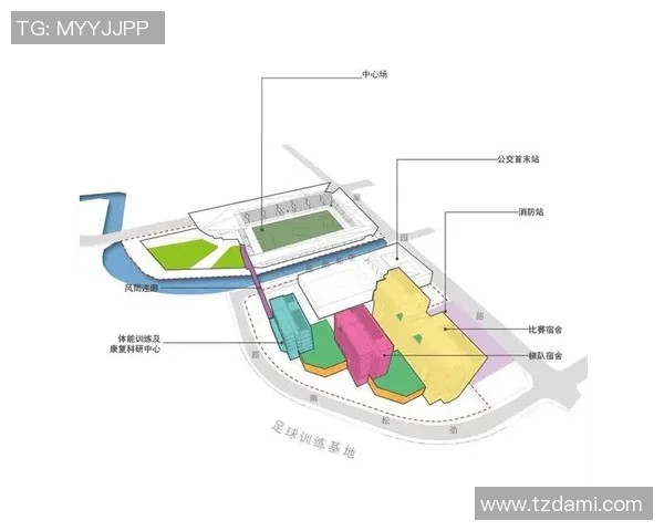 西安足球队的崛起与发展探索：从历史到未来的全景分析