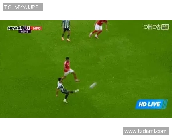 足球揭秘网全面解析赛事动态与球员表现助你掌握足球世界的每一个细节