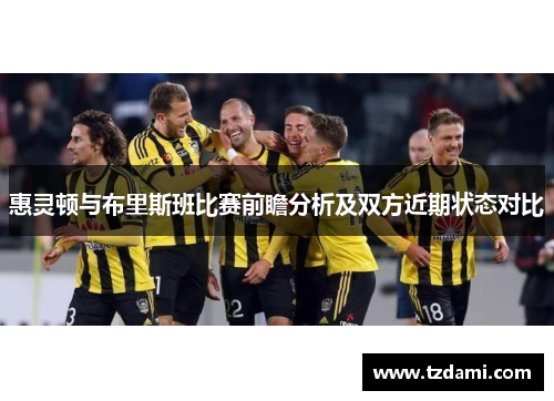 惠灵顿与布里斯班比赛前瞻分析及双方近期状态对比