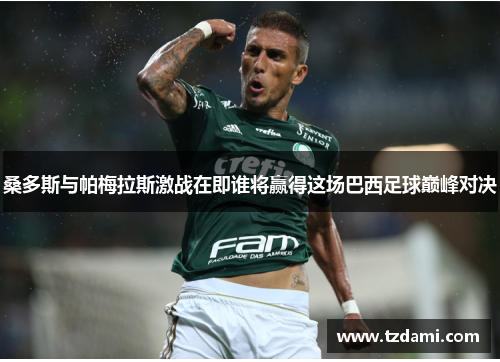 桑多斯与帕梅拉斯激战在即谁将赢得这场巴西足球巅峰对决