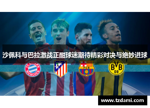 沙佩科与巴拉激战正酣球迷期待精彩对决与绝妙进球