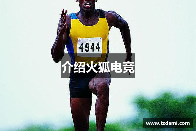 介绍火狐电竞
